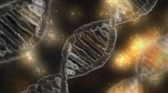 CRISPR ile DNA yerine RNA düzenlenebilecek