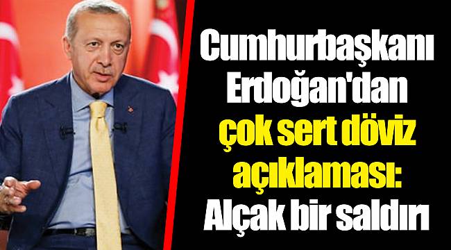 Cumhurbaşkanı Erdoğan'dan çok sert döviz açıklaması: Alçak bir saldırı