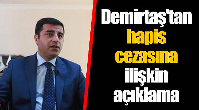 Demirtaş'tan hapis cezasına ilişkin açıklama