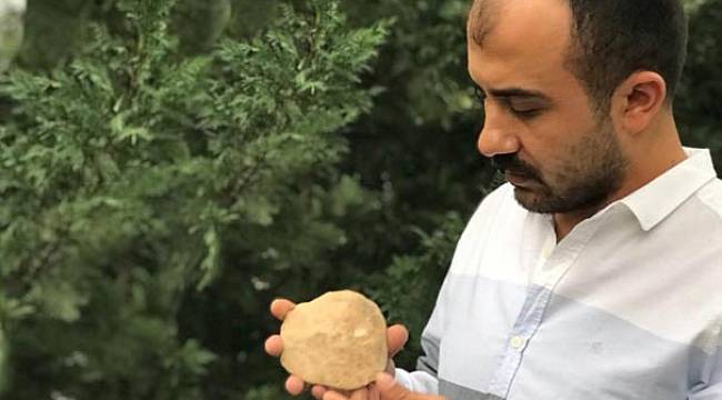 Diyarbakır’da 47 milyon yıllık deniz canlısı fosili bulundu