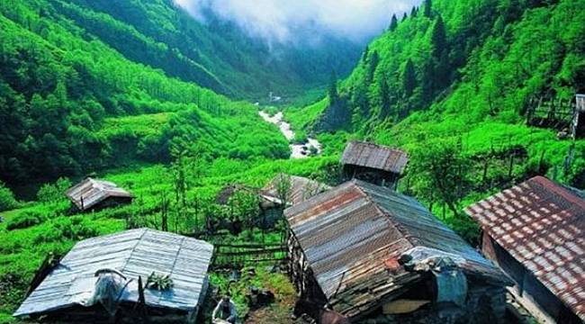 Doğu Karadeniz’de 2 bin 856 konut satıldı