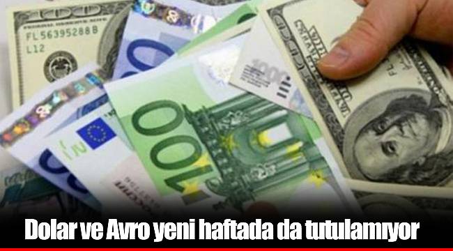 Dolar ve Avro yeni haftada da tutulamıyor