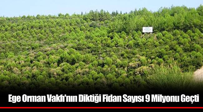 Ege Orman Vakfı'nın Diktiği Fidan Sayısı 9 Milyonu Geçti
