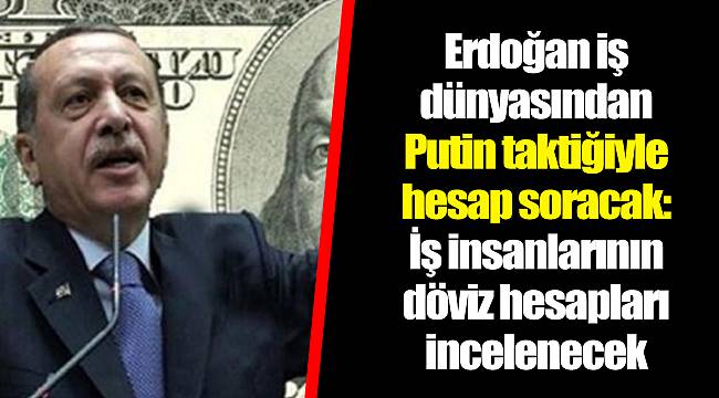 Erdoğan iş dünyasından Putin taktiğiyle hesap soracak: İş insanlarının döviz hesapları incelenecek