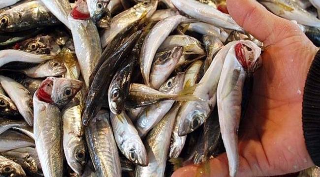 Etten sonra bir uyarı da balık için