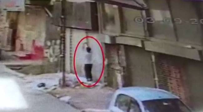 İstanbul'da sepetle bonzai satışı kamerada
