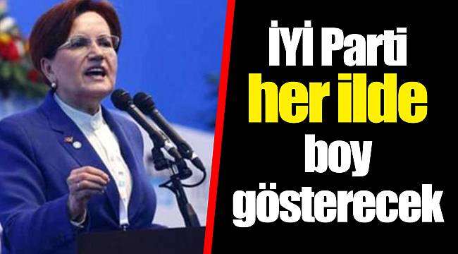 İYİ Parti her ilde boy gösterecek