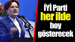 İYİ Parti her ilde boy gösterecek