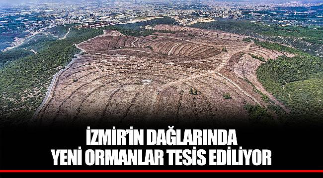 İZMİR’İN DAĞLARINDA YENİ ORMANLAR TESİS EDİLİYOR