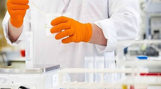 Kanser tedavisinde devrim olacak ilaç
