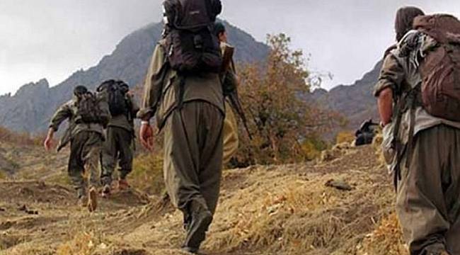 Karadeniz'de 9 ayda PKK'ya büyük darbe vuruldu