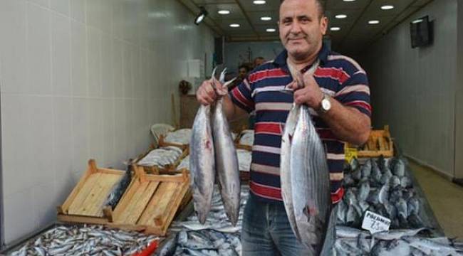 Karadeniz'de nadir görülen torik balıkçıların yüzünü güldürdü