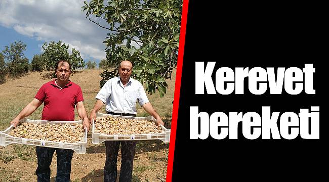 Kerevet bereketi