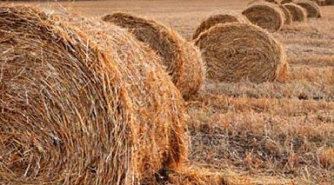 Kriz yeni sektörünü oluşturdu: Samanın önlenemez yükselişi