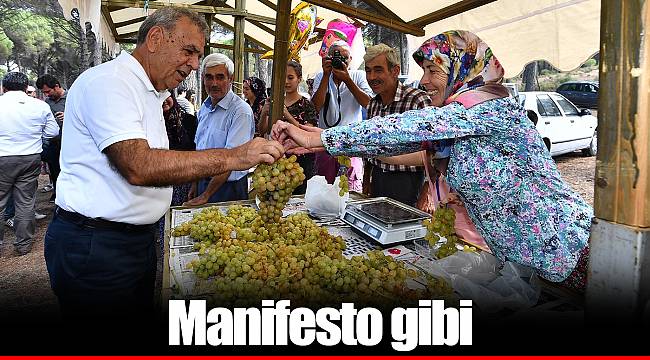 Manifesto gibi