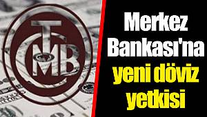 Merkez Bankası'na yeni döviz yetkisi