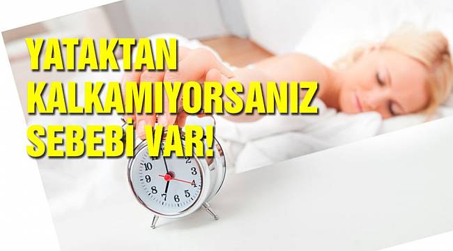 "Mevsimsel geçiş dönemlerinde uyanamama problemi yaşanıyor"