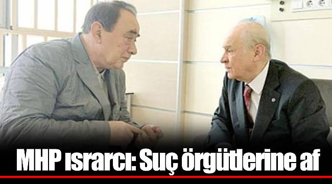 MHP ısrarcı: Suç örgütlerine af
