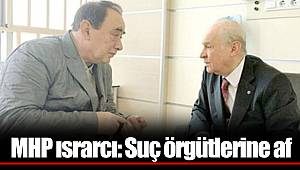 MHP ısrarcı: Suç örgütlerine af