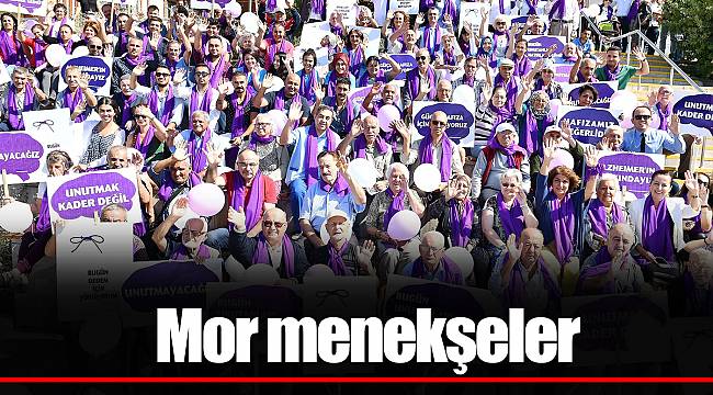 Mor menekşeler
