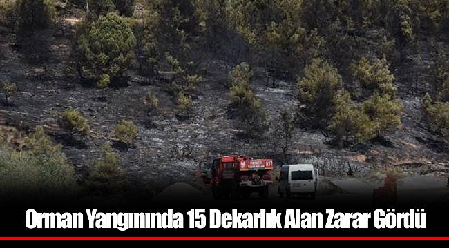 Orman Yangınında 15 Dekarlık Alan Zarar Gördü