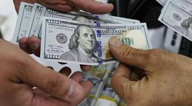 Reel efektif döviz kuru endeksi ağustosta geriledi