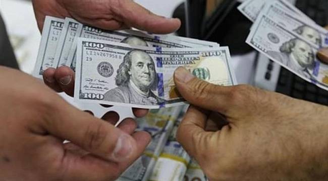 Reel efektif döviz kuru endeksi ağustosta geriledi