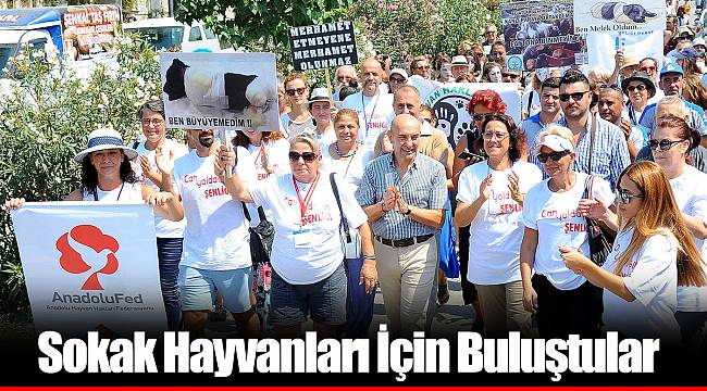 Sokak Hayvanları İçin Buluştular