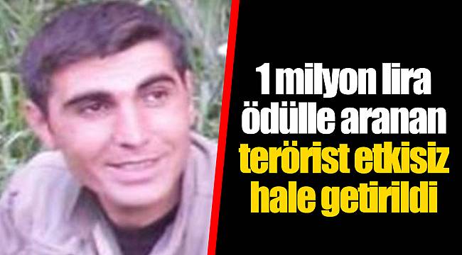 Son dakika: 1 milyon lira ödülle aranan terörist etkisiz hale getirildi