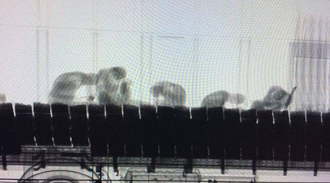 TIR dorsesinden alüminyum folyoya sarılı 6 kaçak göçmen çıktı