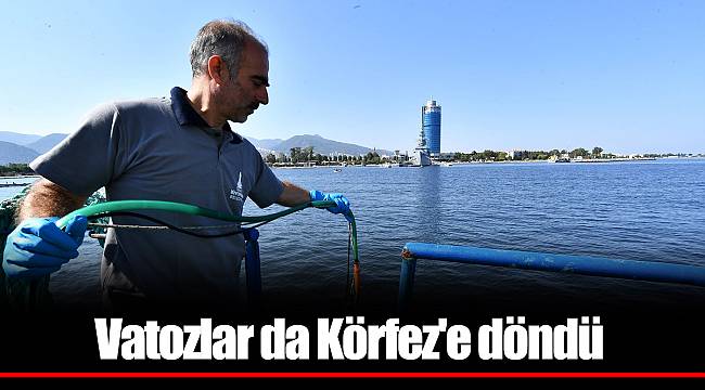 Vatozlar da Körfez'e döndü