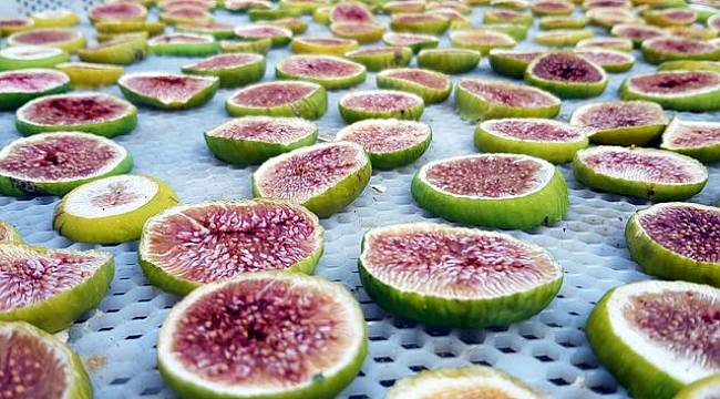 Yeğenleri için üretti, şimdi dünyaya satıyor