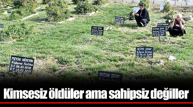 412 numaralı ada