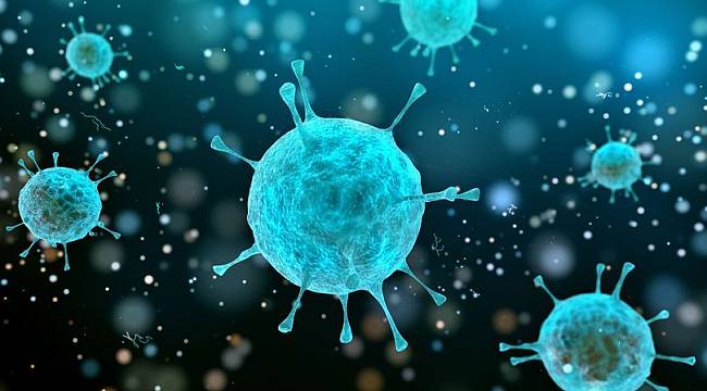ABD'deki virüs salgını: 6 çocuk öldü