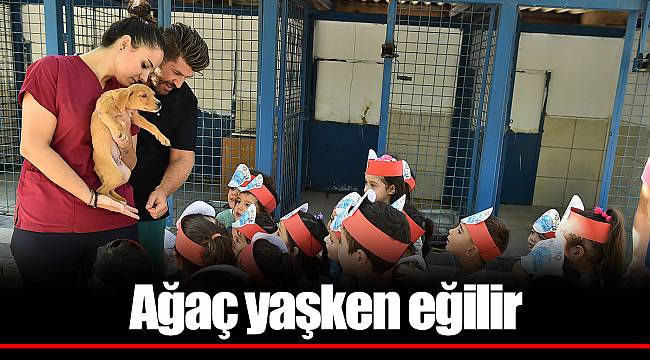 Ağaç yaşken eğilir