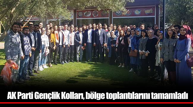 AK Parti Gençlik Kolları, bölge toplantılarını tamamladı