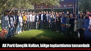AK Parti Gençlik Kolları, bölge toplantılarını tamamladı