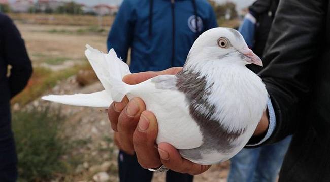 Araba verdiler istemedi! İşte biçtiği değer