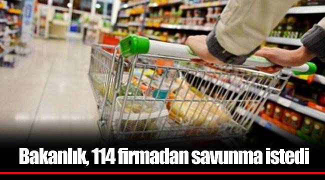 Bakanlık, 114 firmadan savunma istedi