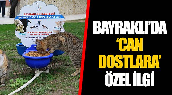 BAYRAKLI’DA ‘CAN DOSTLARA’ ÖZEL İLGİ