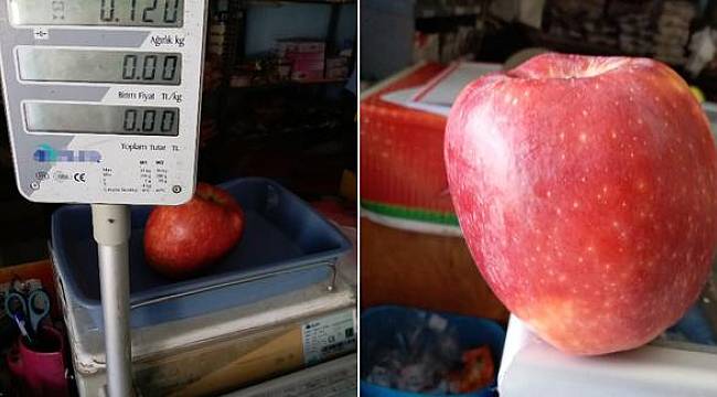 Bir elma tam 720 gram geldi