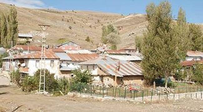 Bir ili karıştıran yılan efsanesi! '4 metre uzunluğunda baca kalınlığında'
