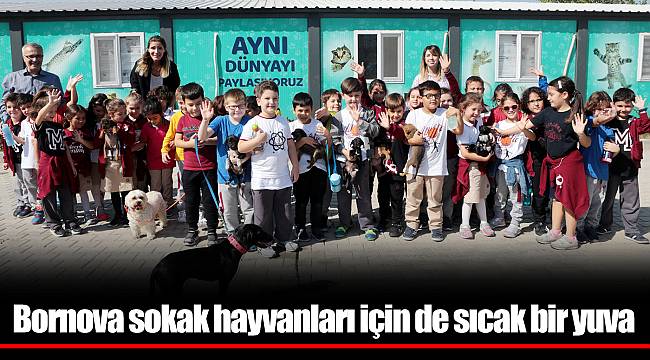 Bornova sokak hayvanları için de sıcak bir yuva