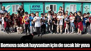 Bornova sokak hayvanları için de sıcak bir yuva