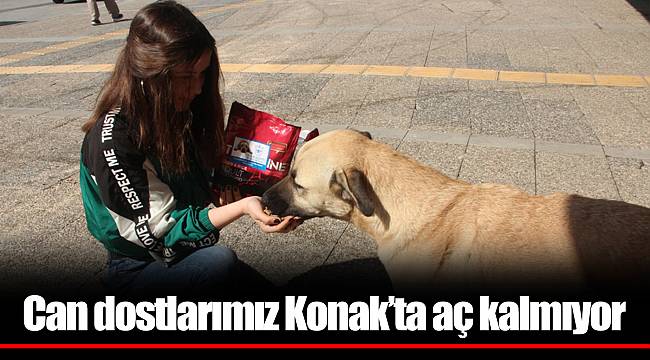 Can dostlarımız Konak’ta aç kalmıyor