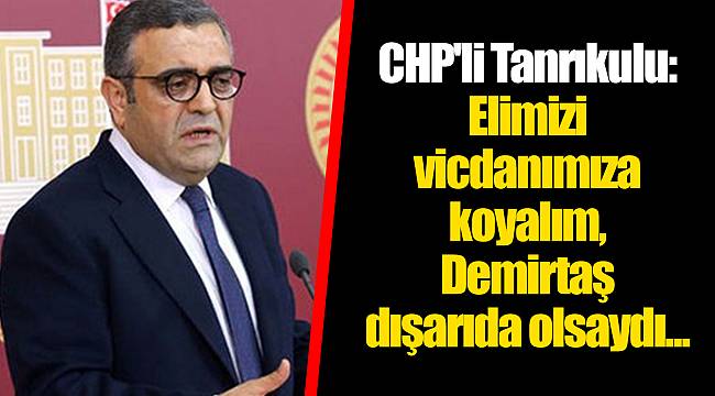 CHP'li Tanrıkulu: Elimizi vicdanımıza koyalım, Demirtaş dışarıda olsaydı...