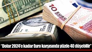 “Dolar 2024'e kadar Euro karşısında yüzde 40 düşebilir”