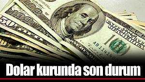 Dolar kurunda son durum