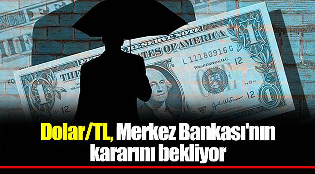 Dolar/TL, Merkez Bankası'nın kararını bekliyor