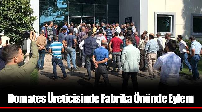 Domates Üreticisinde Fabrika Önünde Eylem